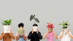 (post)-Diferentes clases de Maceteros-