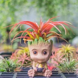 Mini Groot Planter