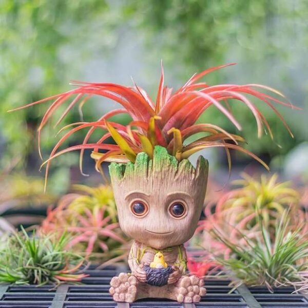 Mini Groot Planter