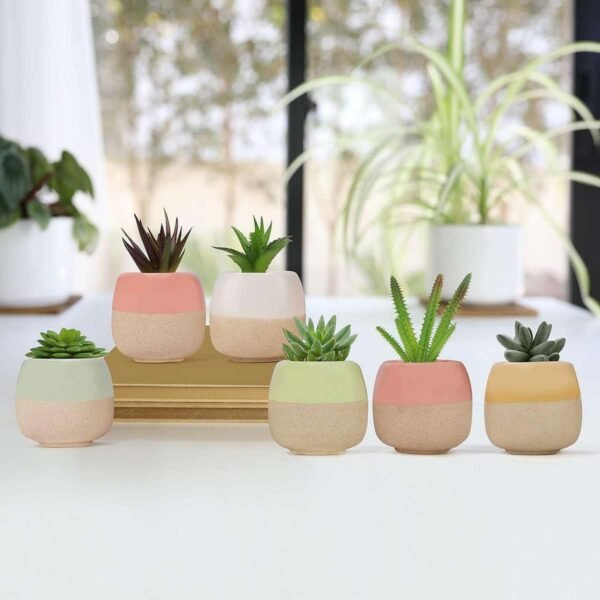 Mini Garden Delight: Set de 6 Macetas de Cerámica