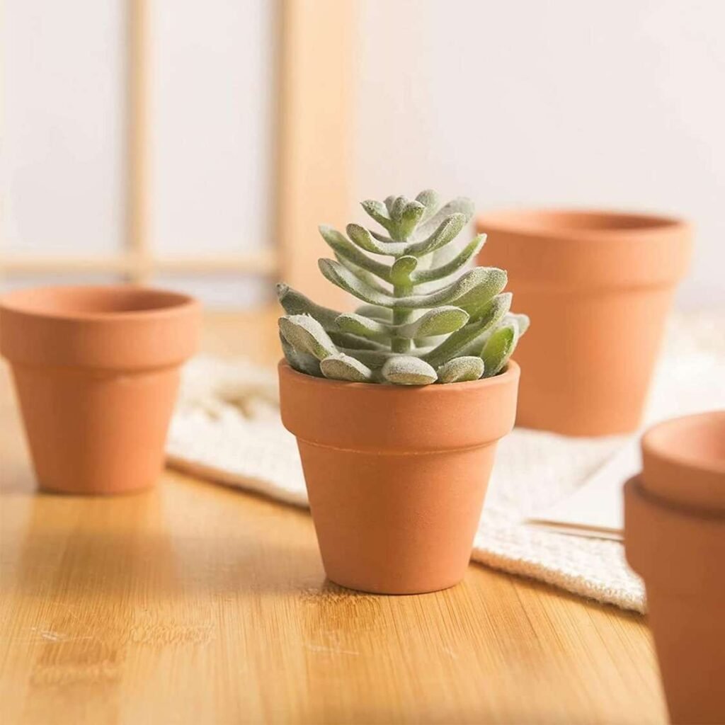 Set de Macetas de Barro Natural