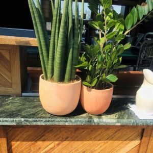 Terra Elegancia Conjunto de Macetas