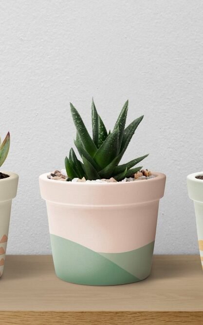 (cat) macetas pequeñas-pequenas-plantas-suculentas-macetas-colores-pastel-rawpixelcom