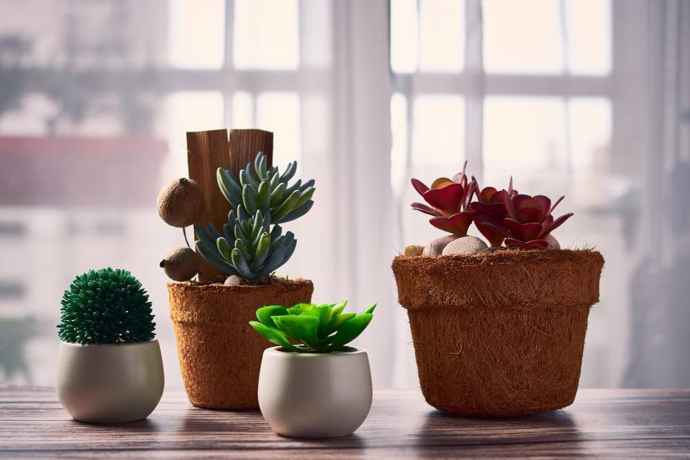 hermosas-plantas-interior-macetas-sobre-mesa-wirestock