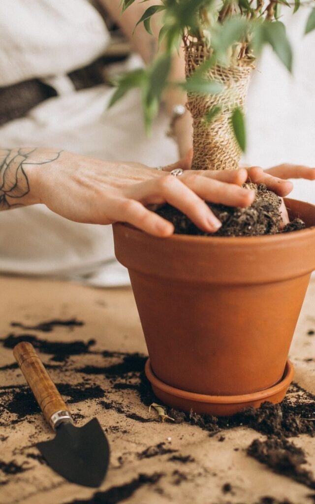 mujer-joven-cultivando-plantas-casa-Senivpetro-Maceteros de Barro