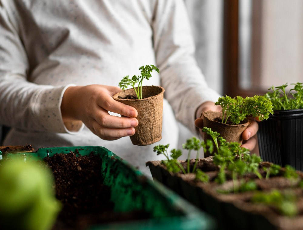 nino-pequenas-plantas-junto-ventana-freepik