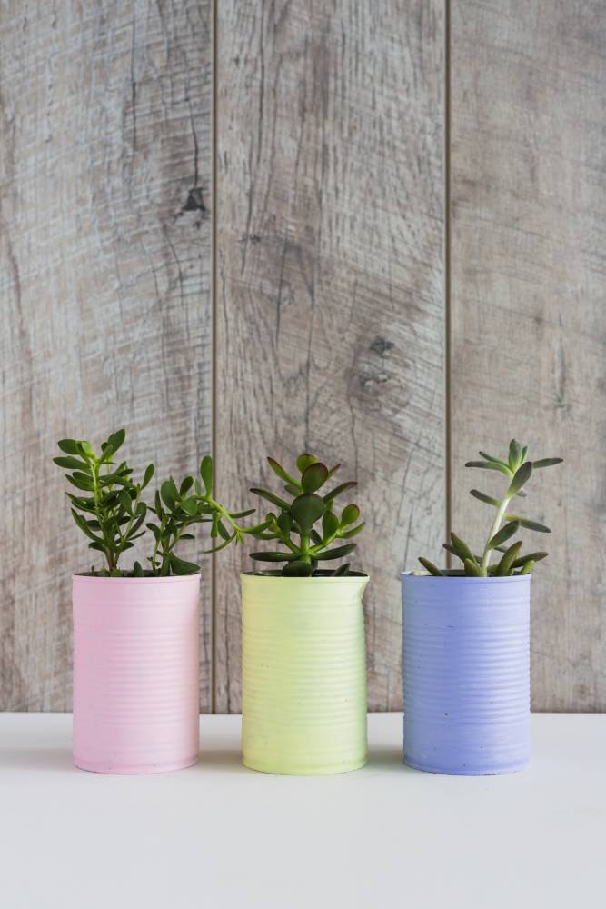 planta-cultivo-fresca-tres-latas-reciclaje-pintadas-escritorio-blanco-contra-pared-madera-freepik