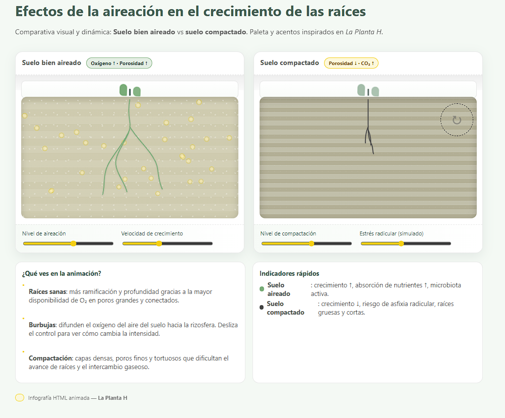 Infografía animada comparando suelo bien aireado y suelo compactado, mostrando efectos en el crecimiento de raíces, oxigenación, porosidad y estrés radicular. Autor: La Planta H.